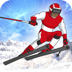 Slalom Hero